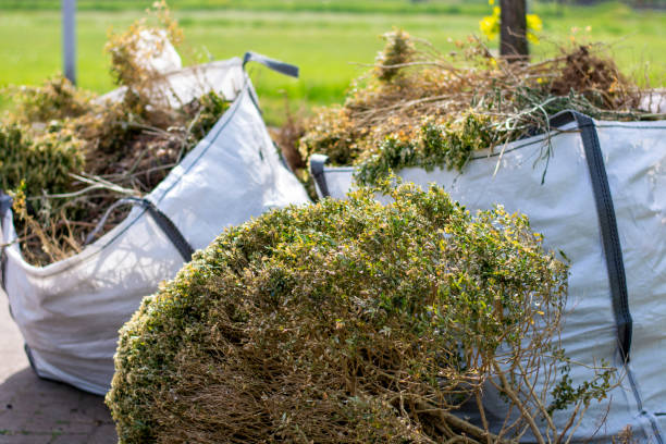 Best Attic Cleanout Services  in Orosi, CA